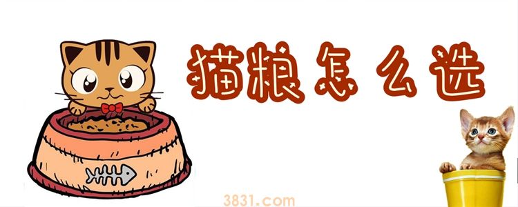 猫粮怎么选(图1)