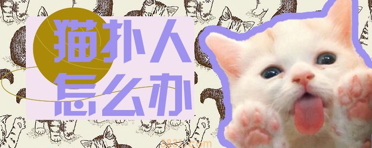 猫扑人怎么办(图1)