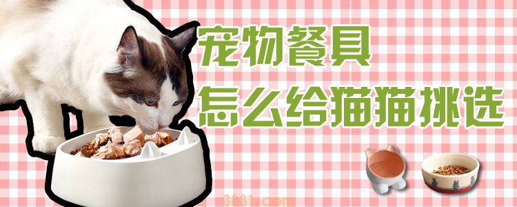 宠物餐具怎么给猫猫挑选(图1)