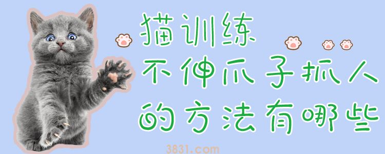 猫训练不伸爪子抓人的方法有哪些(图1)