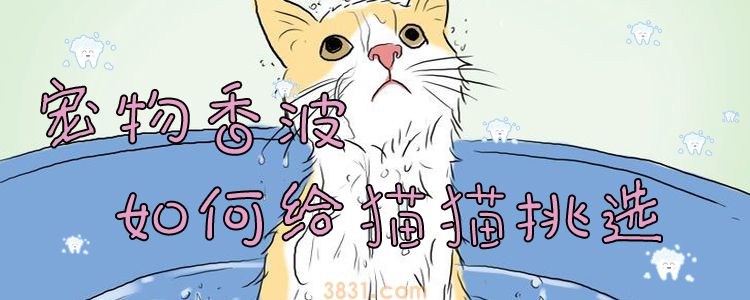 宠物香波如何给猫猫挑选(图1)