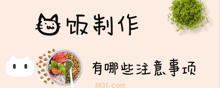 猫饭制作有哪些注意事项(图1)