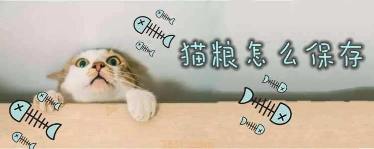 猫粮怎么保存(图1)