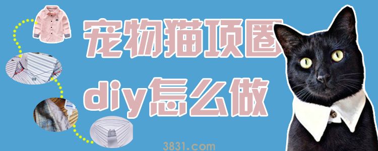 宠物猫项圈diy怎么做(图1)