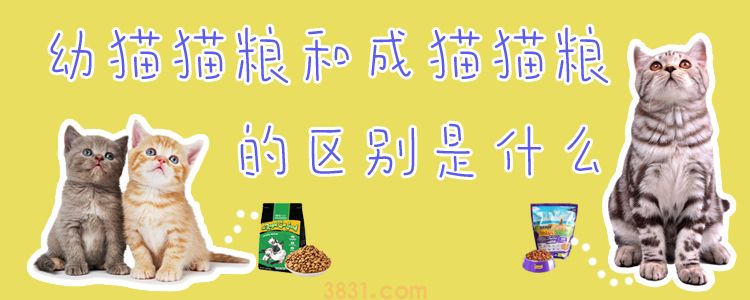 幼猫猫粮和成猫猫粮的区别(图1)
