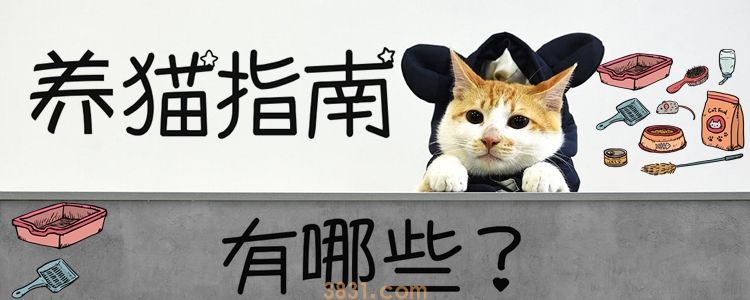 养猫指南有哪些(图1)