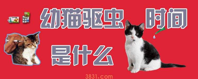 幼猫驱虫时间是什么(图1)