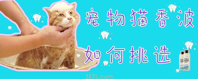 宠物猫香波如何挑选(图1)
