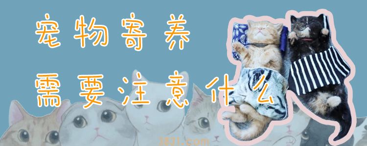 宠物寄养需要注意什么(图1)