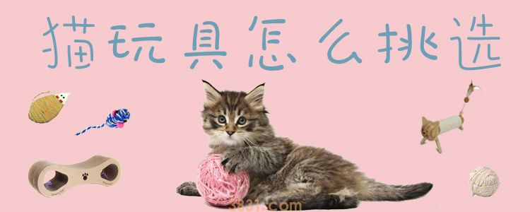 猫玩具怎么挑选(图1)
