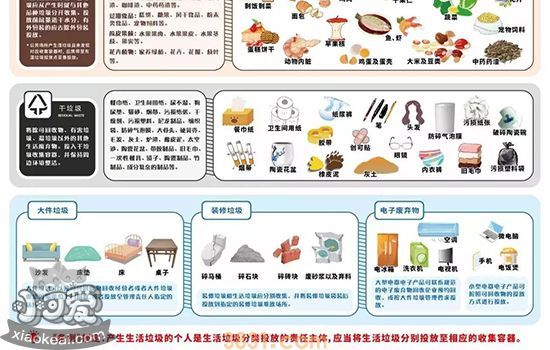 狗屎是干垃圾还是湿垃圾 不是垃圾的狗屎何去何从(图2)