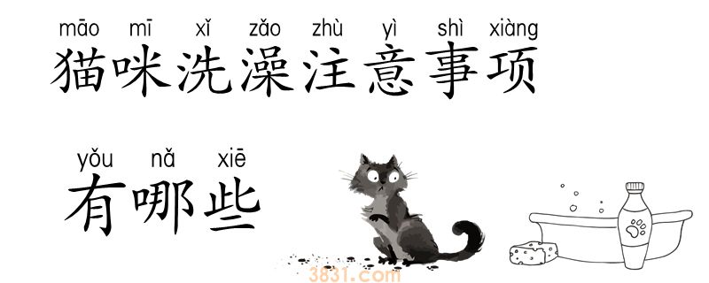 猫咪洗澡注意事项有哪些(图1)