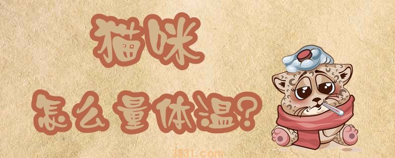 猫咪量体温的方法(图1)