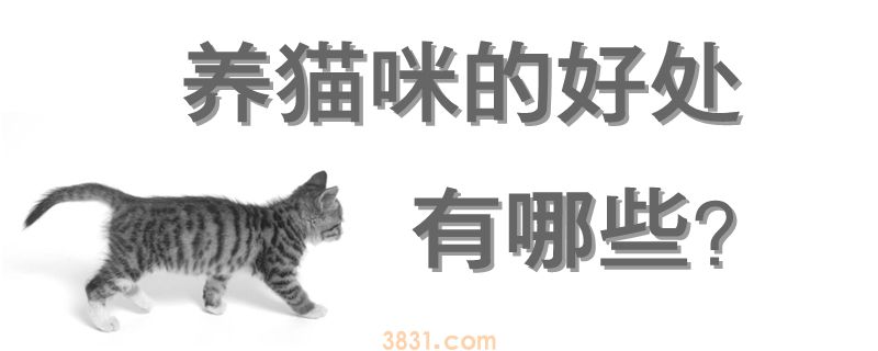养猫咪的好处有哪些(图1)