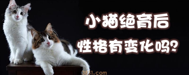 小猫绝育后性格有变化吗(图1)