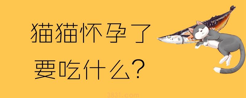 猫猫怀孕了要吃什么(图1)