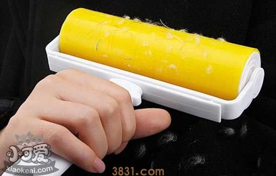 除狗毛的方法 如何让你的饭碗里没有狗毛(图2)