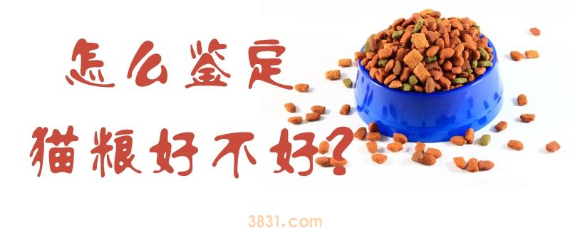 怎么鉴定猫粮好不好(图1)