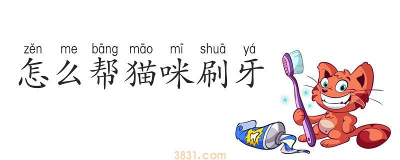 怎么帮猫咪刷牙(图1)