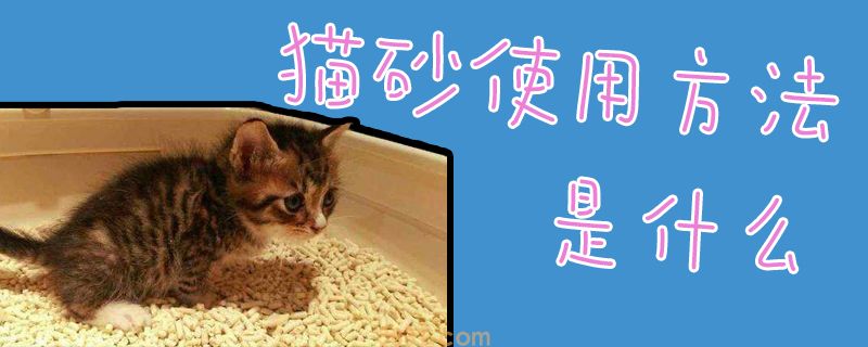 猫砂使用方法是什么(图1)