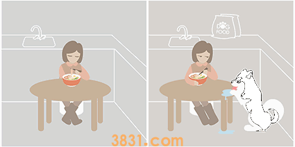 养狗前VS养狗后,你中枪了吗?(图1)