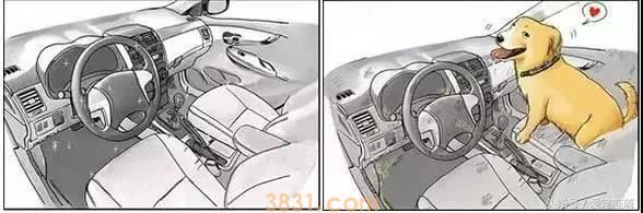 养狗前VS养狗后,你中枪了吗?(图6)