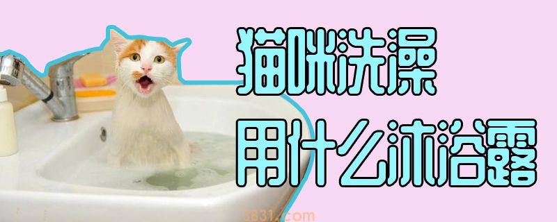 猫咪洗澡用什么沐浴露(图1)