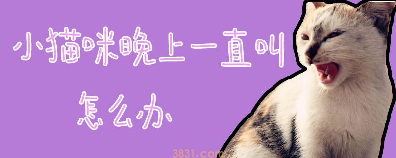 小猫咪晚上一直叫怎么办(图1)