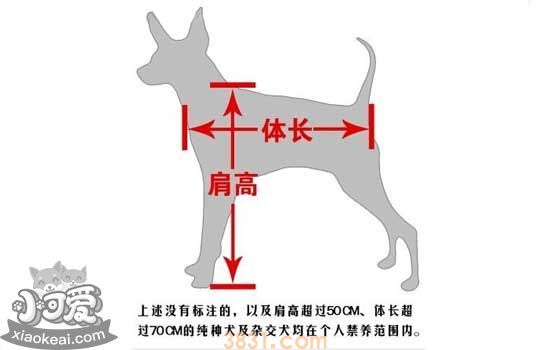 泰迪肩高体重对照表 泰迪肩高体重对照表图解(图2)