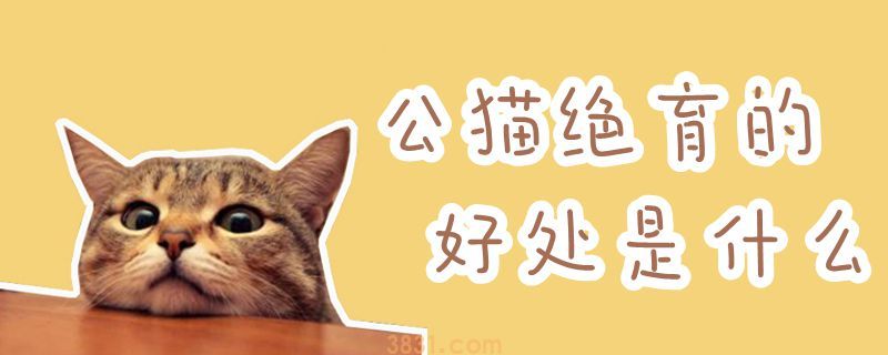 公猫绝育的好处是什么(图1)