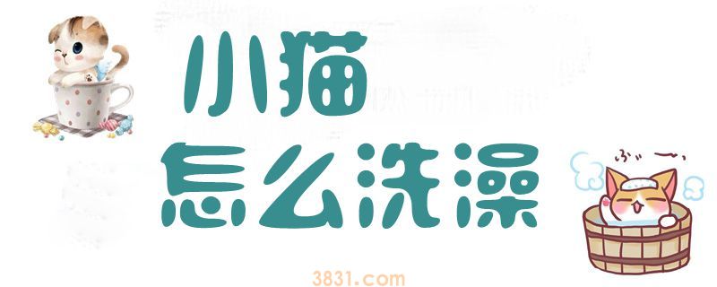 小猫怎么洗澡(图1)