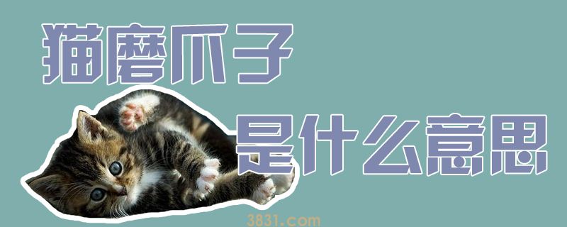 猫磨爪子是什么意思(图1)