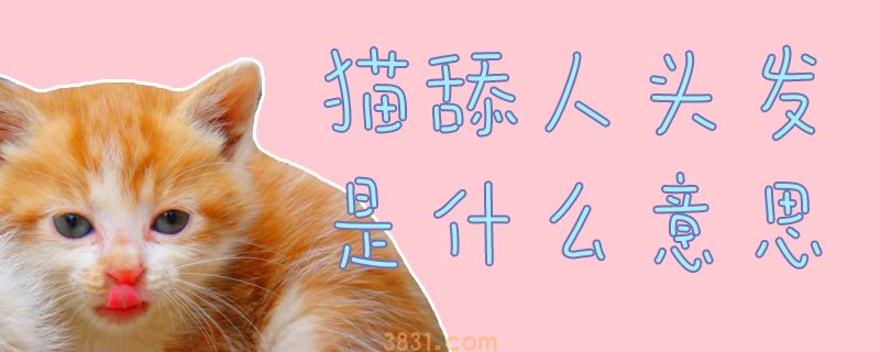 猫舔人头发是什么意思(图1)