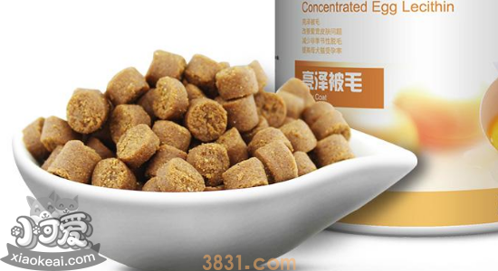 狗粮储存方法 天气热的地方如何储存狗粮(图1)