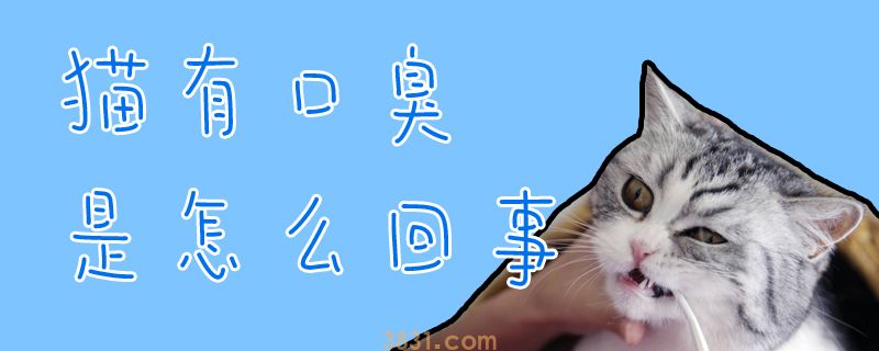 猫有口臭是怎么回事(图1)