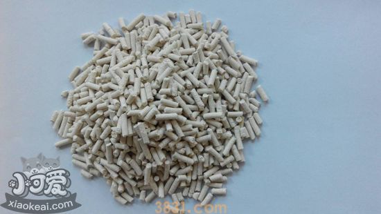 哪种猫砂比较好 常用的几款猫砂的特点(图1)