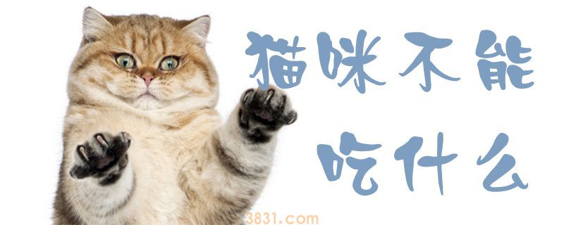 猫咪不能吃什么(图1)