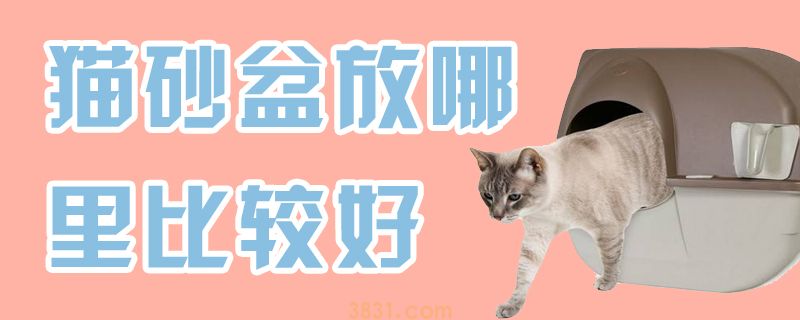 猫砂盆放哪里比较好(图1)