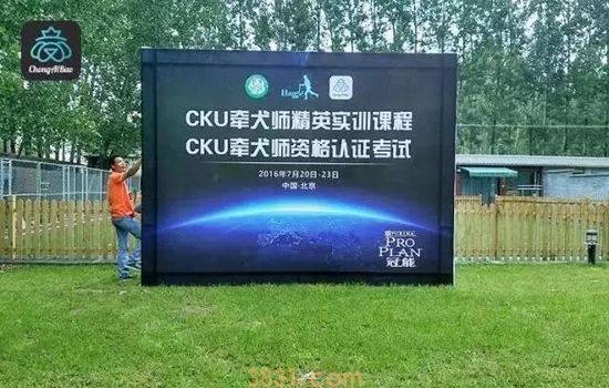 CKU是什么意思 CKU赛级犬如何评选(图2)