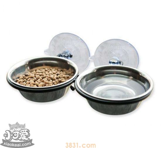 猫咪食具怎么选 猫咪食具挑选方法(图1)