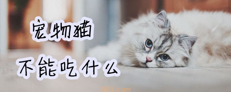 宠物猫不能吃什么(图1)