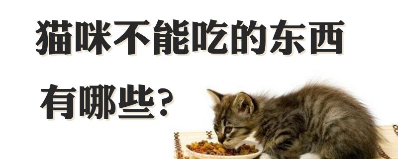 猫咪不能吃的东西有哪些(图1)