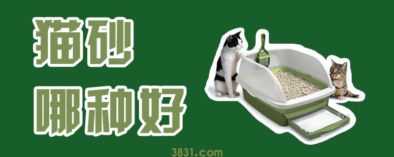 猫砂哪种好(图1)