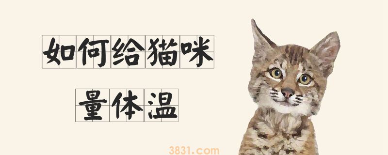 如何给猫咪量体温(图1)