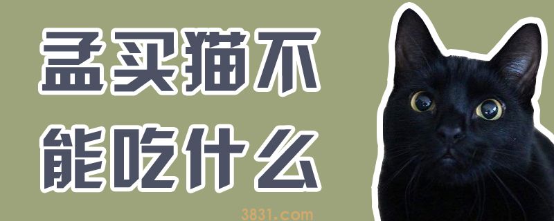 孟买猫不能吃什么(图1)