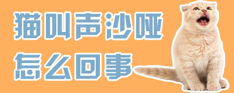 猫叫声沙哑怎么回事(图1)
