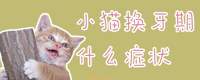 小猫换牙期什么症状(图1)