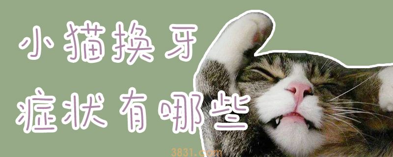 小猫换牙症状有哪些(图1)
