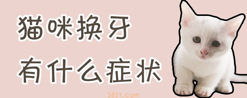猫咪换牙有什么症状(图1)