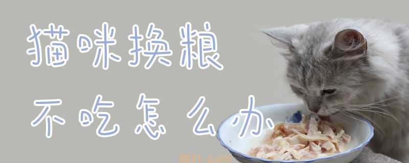 猫咪换粮不吃怎么办(图1)
